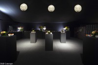 /album/references/C-lennen-descamps-d-l-b-concept-zoute-grand-prix-R-45-2-jpg/